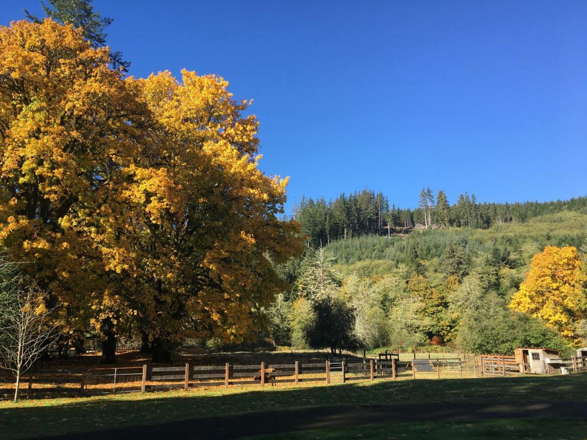The Cabins At Beaver Creek エクステリア 写真